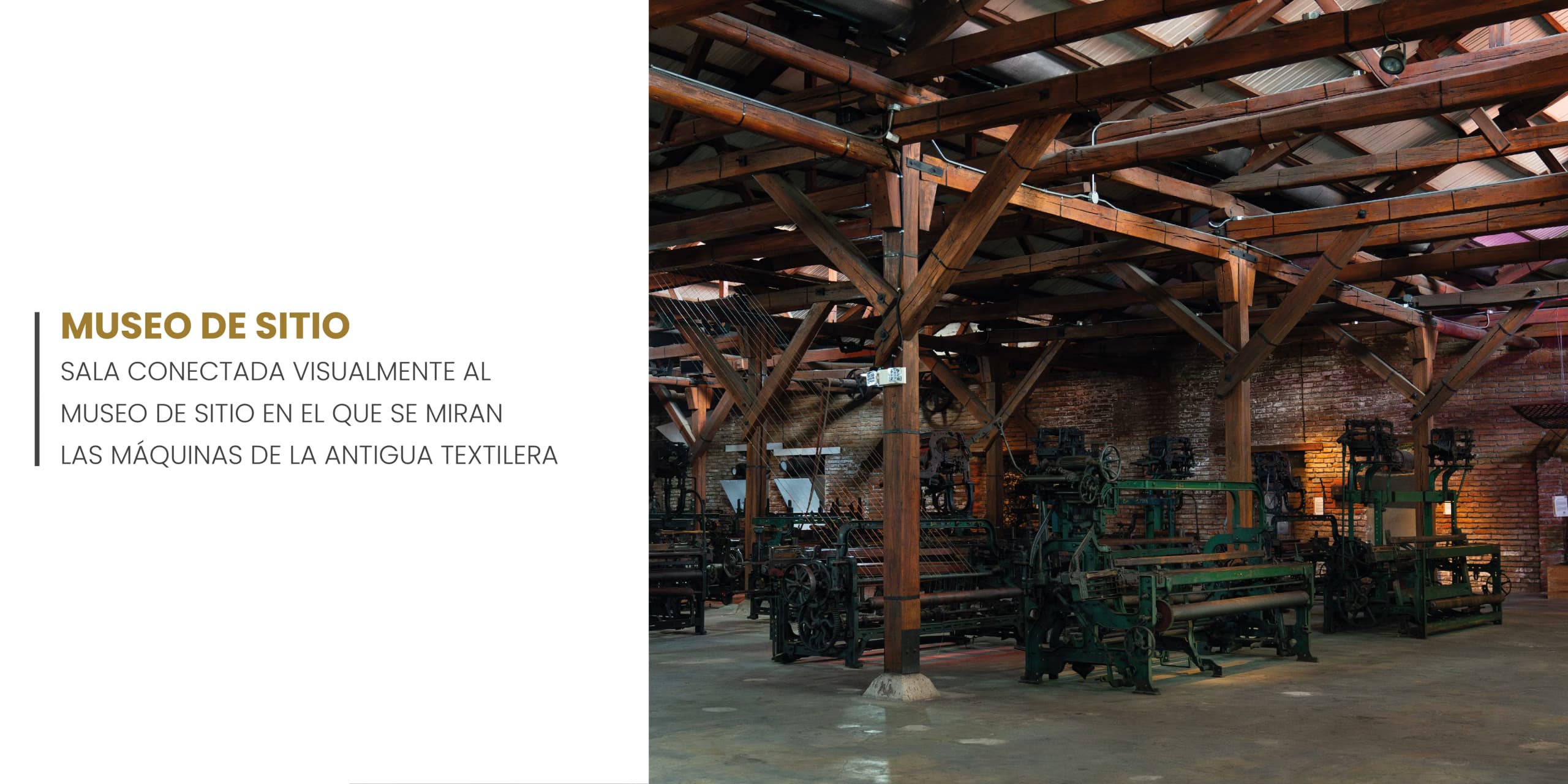 Imagen 1 de la galería Humadi