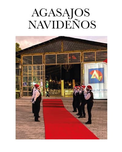 Servicio de Agasajos Navideños en Humadi Eventos